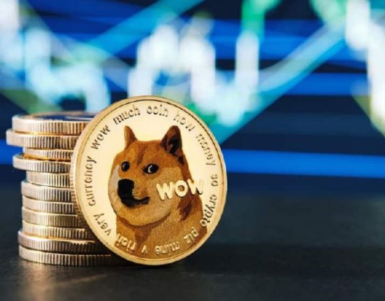 Dogecoin (DOGE) Shows Resilience with Steady Growth Amid Recent Developments